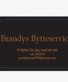 brandys service