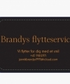 brandys service